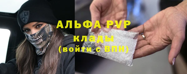 шишки Аркадак