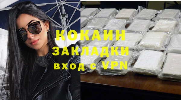 шишки Аркадак