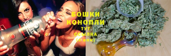 шишки Аркадак