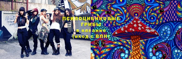 шишки Аркадак