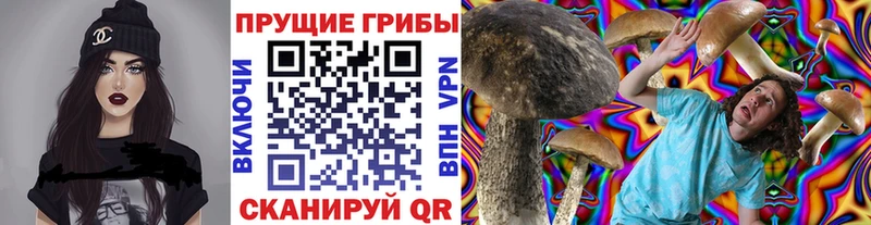 цена наркотик  Уварово  OMG ONION  Псилоцибиновые грибы GOLDEN TEACHER 